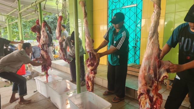 504265140 1021897170124465 2172291380455664408 n