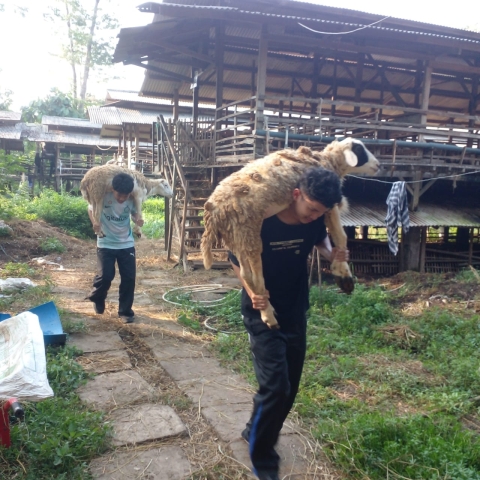 WhatsApp Image 2025 06 06 at 08.06.43