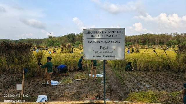 ekstrakurikuler qotrun