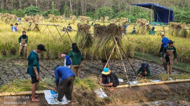 qorun kegiatan ekstrakurikuler