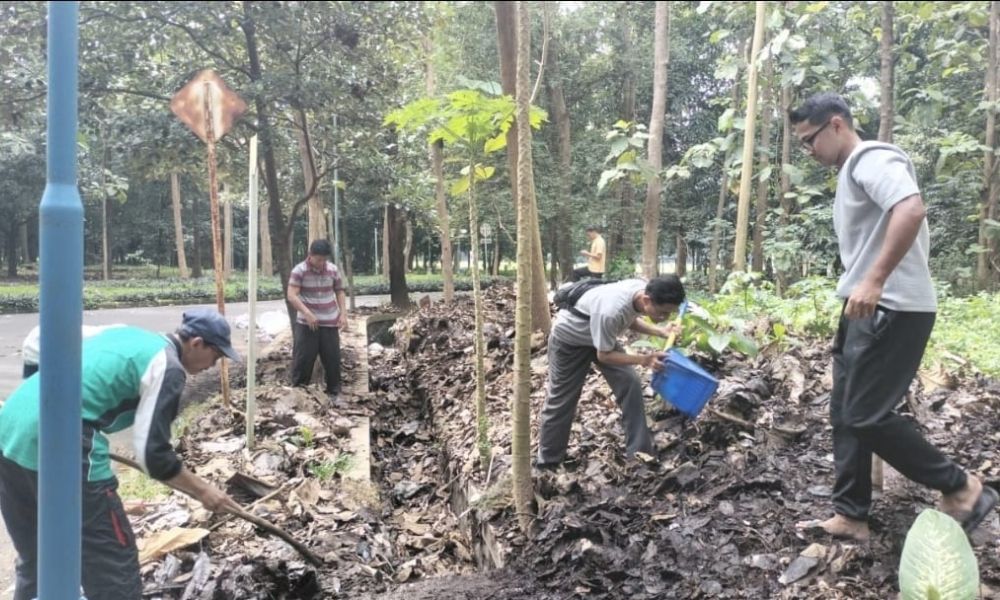 lognews.co.id foto 20 sampah serasah mahad