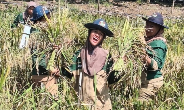 lognews.co.id foto 24 giat panen pkt