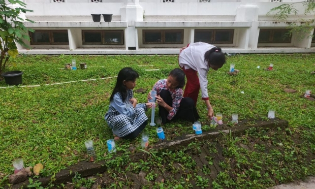 lognews.co.id foto 5