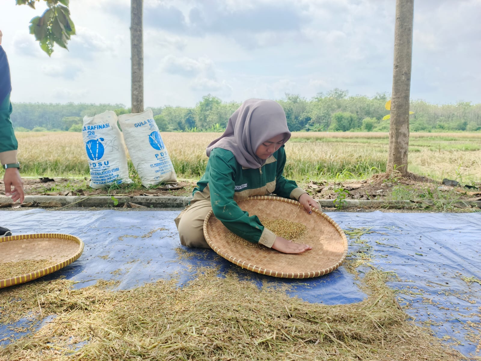 WhatsApp Image 2026 04 02 at 11.28.07 1